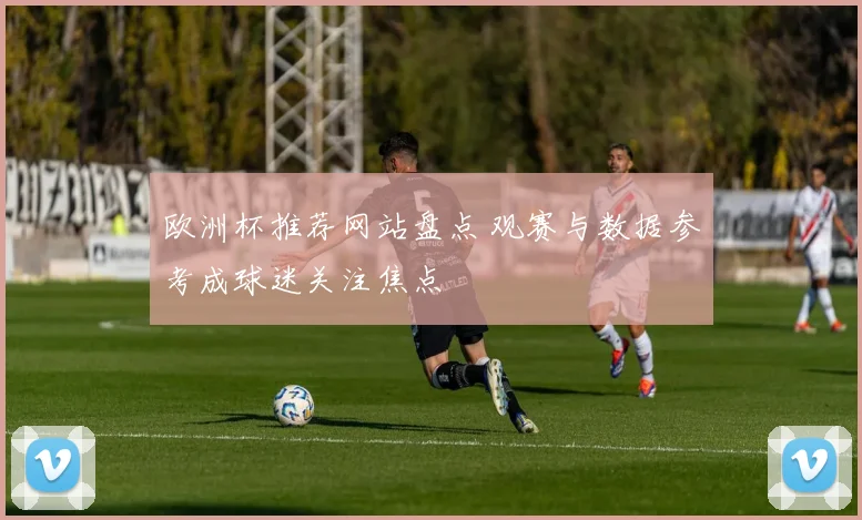欧洲杯推荐网站盘点 观赛与数据参考成球迷关注焦点