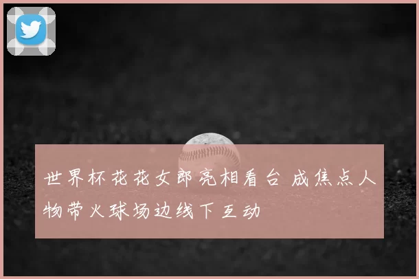 世界杯花花女郎亮相看台 成焦点人物带火球场边线下互动